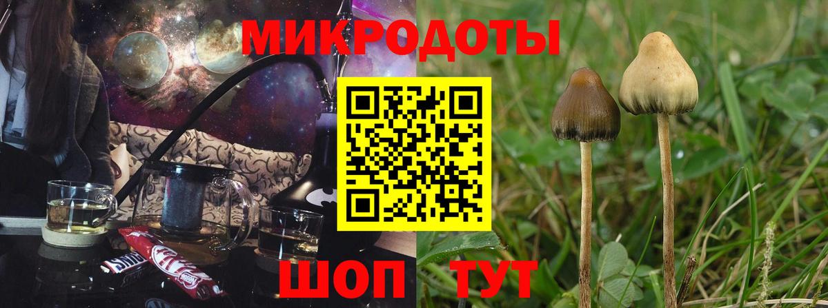 Галлюциногенные грибы прущие грибы  дарнет шоп  Фурманов  Вход с VPN  Псилоцибиновые грибы MAGIC MUSHROOMS 